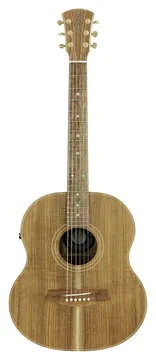 Cole Clark LL Mini 2 E Blackwood/Blackwood