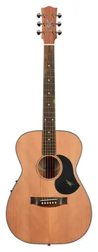 Maton RM808 w/CASE