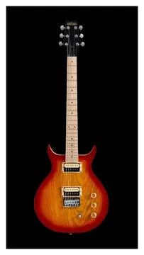 Washburn Wing Series Raven Electric Guitar Inc £225 Custom Pro Setup & Support Package