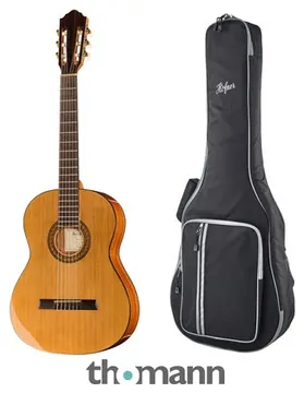 Höfner HZ25 Bundle w/ Gig Bag