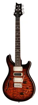 PRS SE Special Semi Hollow Orange Tiger Burst