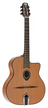 LAG Swing SL100
