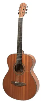 Benson GFM100E NS
