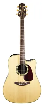 Takamine GD71CE-NAT