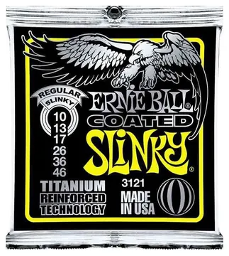 ErnieBall Ernie Ball 3121