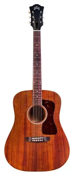 Guild USA D-20 Natural