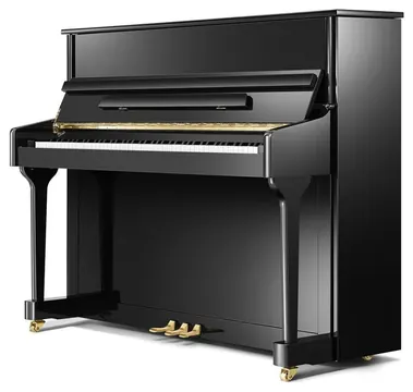 Pearl River Pianos Klavier Pearl River 118 EU schwarz poliert