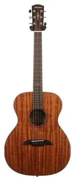Alvarez Limited Edition Artist Series AF66 Mahogany