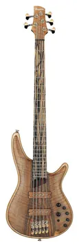 Ibanez IV1SR Visions SR E-Bass 5 String