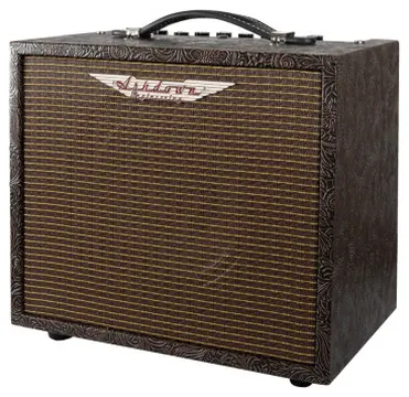Ashdown WOODSMAN Amplificador - 25W