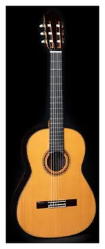 Esteve ICS MOD.12
