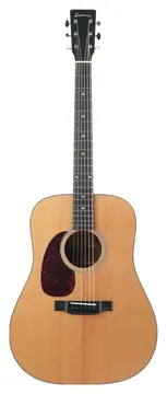 Eastman E1D Dreadnought Lefty