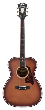 D'Angelico Premier Tammany Caramel Burst