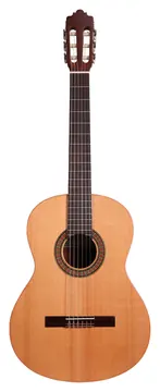 Altamira N100