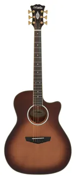 D'Angelico Gramercy Auntumn Burst