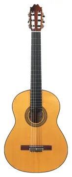 Francisco Sanchez Flamenco 2016