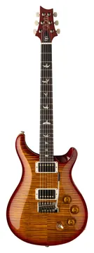 PRS DGT Birds Dark Cherry Sunburst