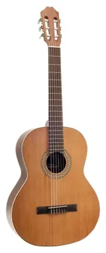 Juan Salvador 2C Open Pore - Klassieke Gitaar