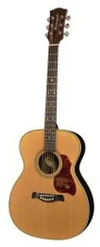Richwood Master Series Handmade Acoustic Auditorium OOO Guitar, A-65-VA