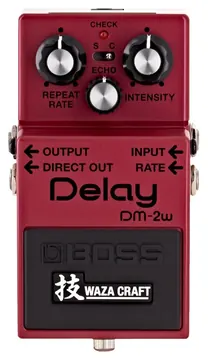 Boss DM-2W Delay