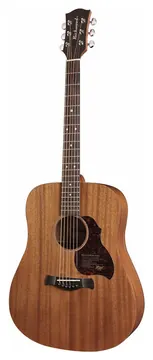 Richwood Master Series D-50 handmade dreadnought guitar