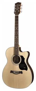 Richwood A60CE Westerngitaar met Element