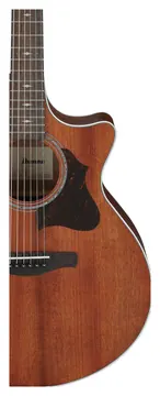 Ibanez AE140-OPN Electro-Acoustic Guitar, Open Pore Natural