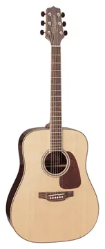 Takamine Gd93 Natural