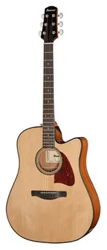 Ibanez AAD51CE-NT