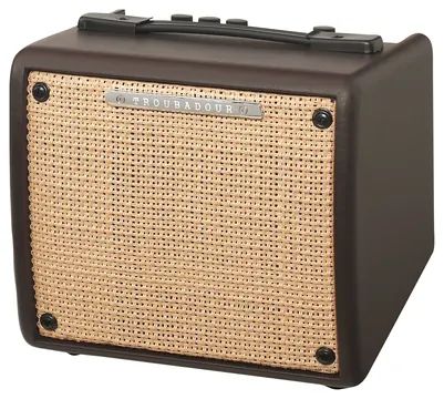 Ibanez Akustikverstärker Troubadour 15 Watt, T15II