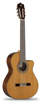 Alhambra 3C Cutway E1