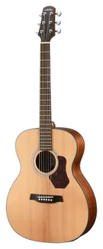 Walden Electroacustica Cordas Aço Natura O550E