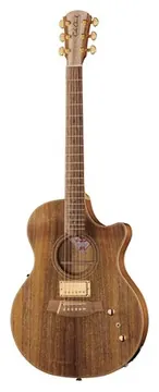 Cole Clark TL2EC-BLBL-HUM