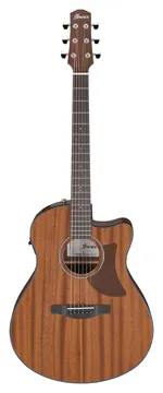 Ibanez AAM54CE-OPN Natural Advanced Acoustic
