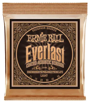 Ernie Ball 2548 Everlast Phosphor Bronze Light