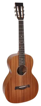 Richwood Master Series P-50 handmade parlor guitar