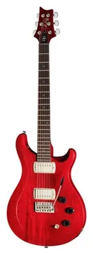PRS SE DGT Standard Moons VC
