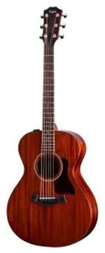 Taylor AD22E American Dream con custodia