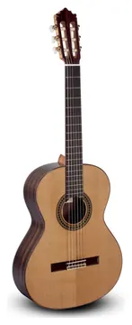 Paco Castillo 204