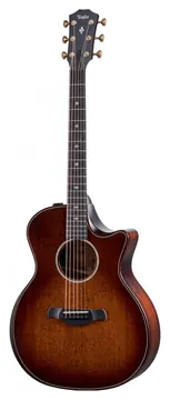 Taylor Builder's Edition 324ce