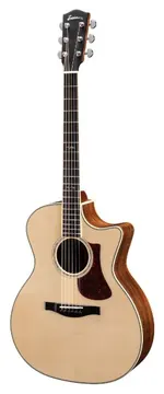 Eastman AC422CE Grand Auditorium Limited Edition Koa