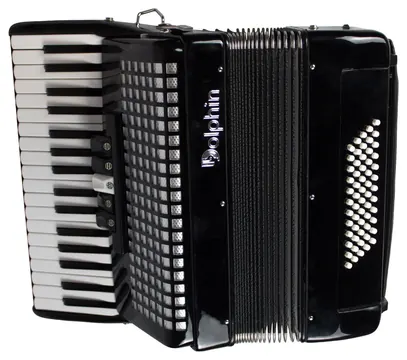 Dolphin Acordeon Dolphin 6416 60 Baixos