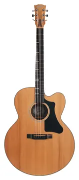 Gibson Generation G200 EC Natural 2021