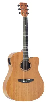 Strinberg Forest Series FS4D Elétrico com Cordas de Aço e Afinador