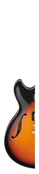 Ibanez AS113 Brown Sunburst
