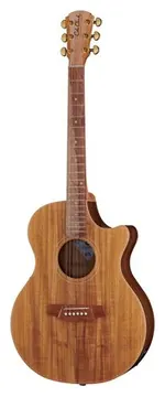 Cole Clark AN2EC-BLBL Angel