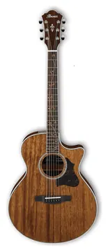 Ibanez AE245NT Electrisch Akoestische Gitaar