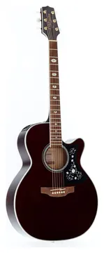 Takamine Gn75 Cutaway Wine Red