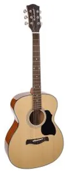 Richwood Master Series Handmade Auditorium OOO Guitar, A-40
