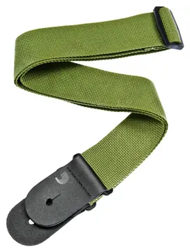D'Addario Gitarrengurt grün